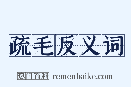 疏毛反义词是什么意思的图片